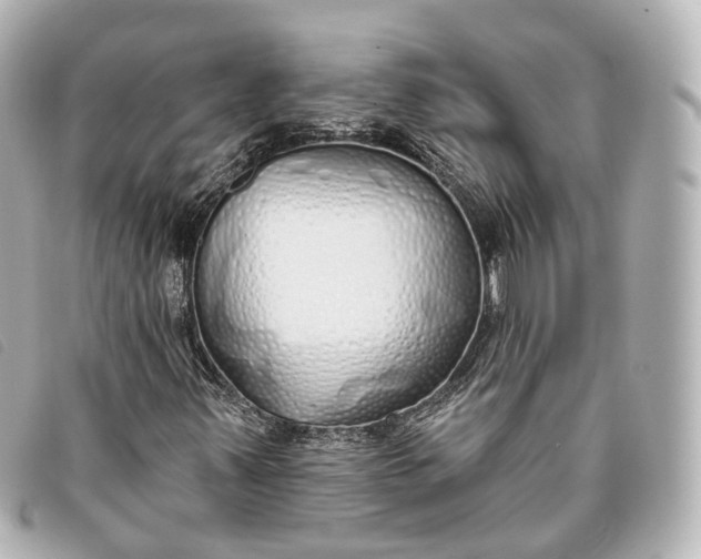 X0000093361347200710251122
