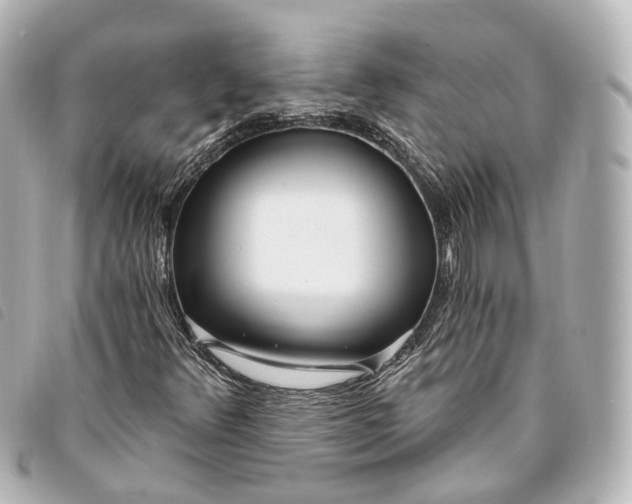 X0000093361348200710251122