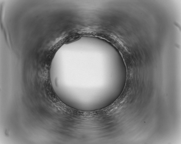 X0000093361350200710251122