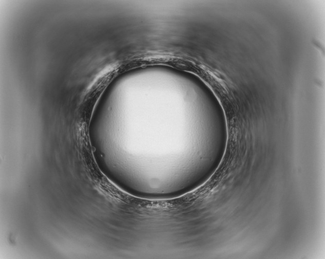 X0000093361351200710251122