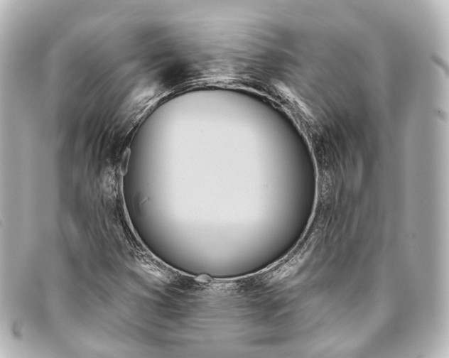 X0000093361353200710251122