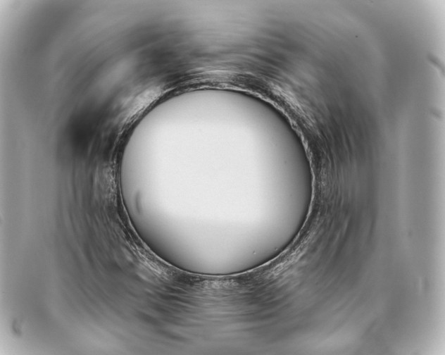 X0000093361354200710251122