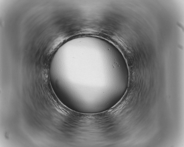 X0000093361355200710251122