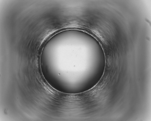 X0000093361356200710251122