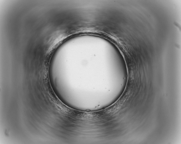 X0000093361359200710251122