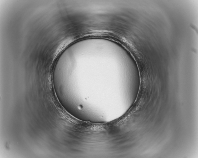 X0000093361362200710251122