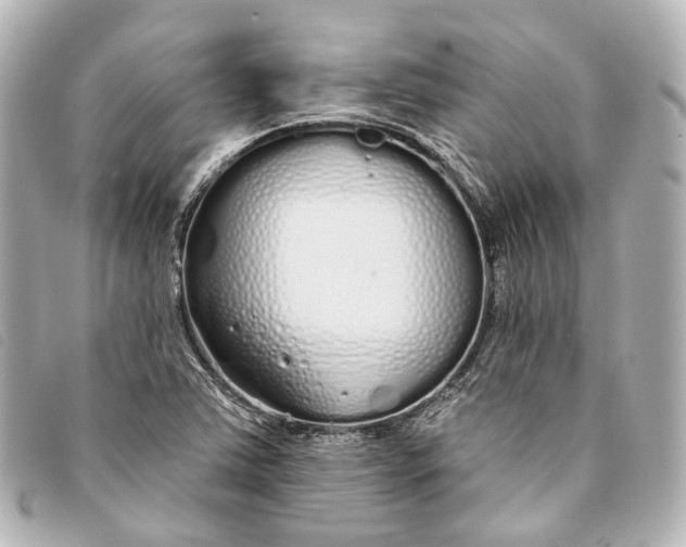 X0000093361363200710251122
