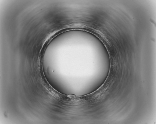 X0000093361364200710251122