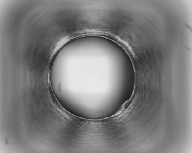 X0000093361365200710251122