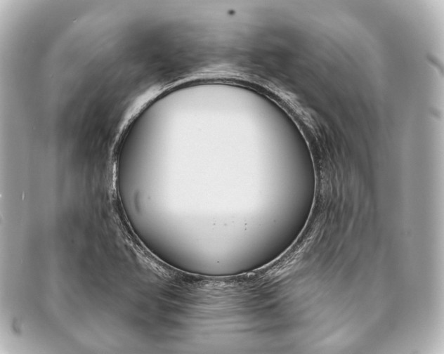 X0000093361366200710251121