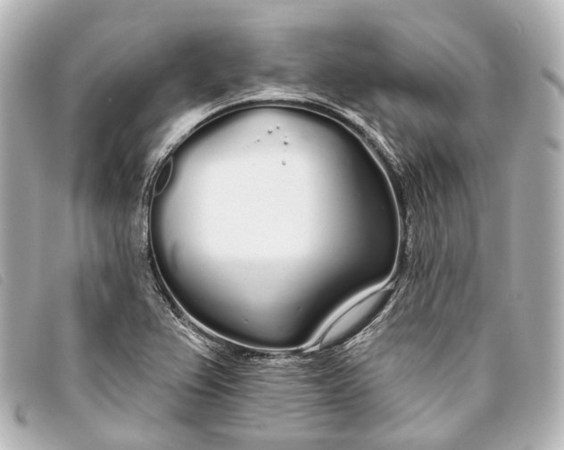 X0000093361367200710251121