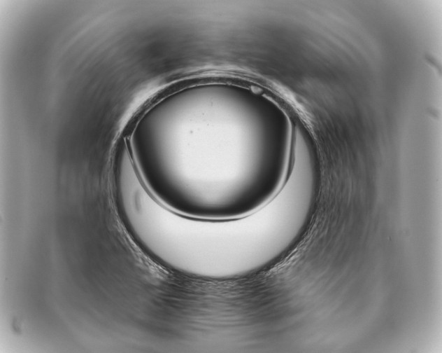 X0000093361368200710251121