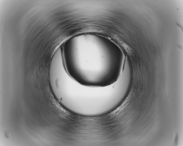 X0000093361369200710251121