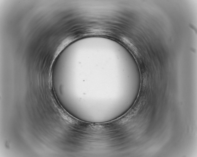X0000093361370200710251121