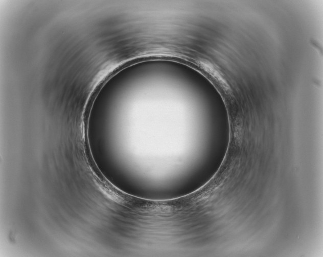 X0000093361372200710251121