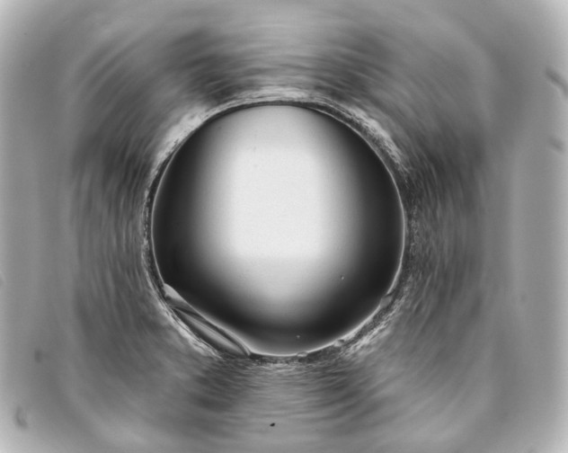 X0000093361373200710251121