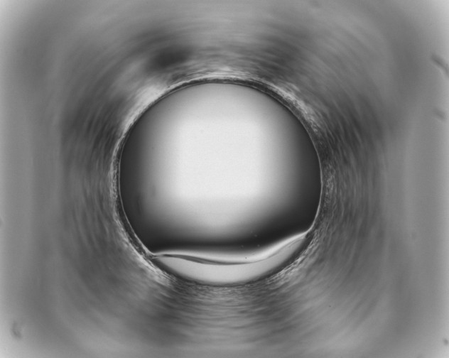 X0000093361375200710251121