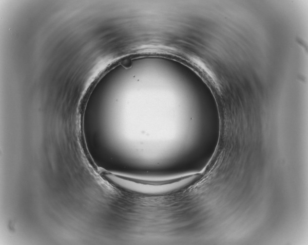 X0000093361376200710251121