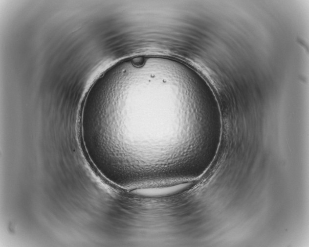 X0000093361379200710251121