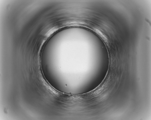 X0000093361384200710251121