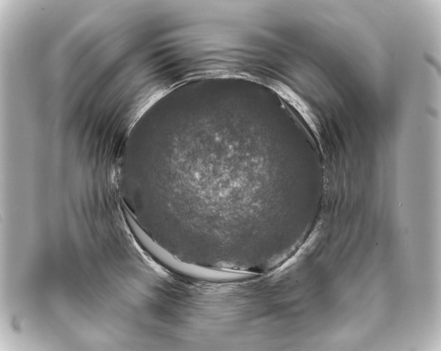 X0000093361385200710251121