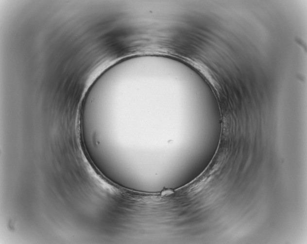 X0000093361387200710251121