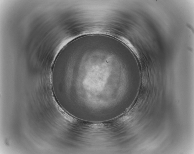 X0000093361388200710251121
