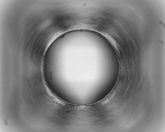 X0000093361390200710251121