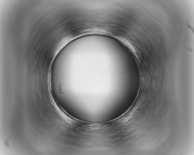 X0000093361391200710251121