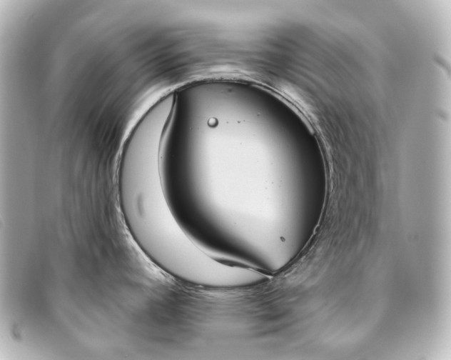 X0000093361392200710251121