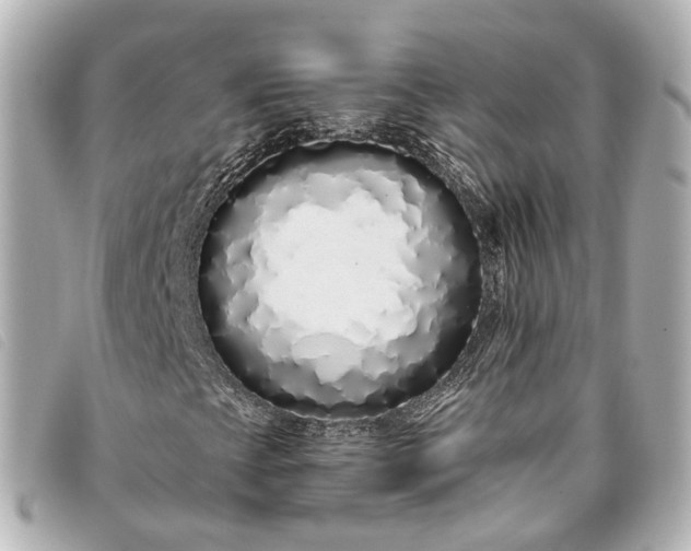 X0000093361393200710251120