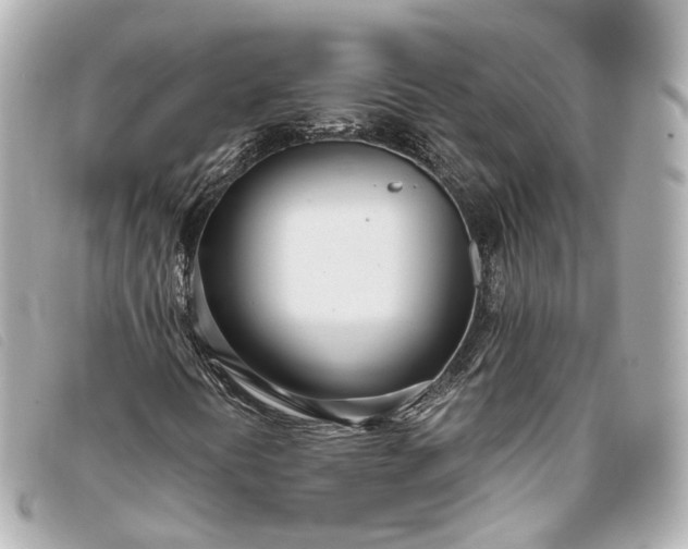 X0000093361394200710251120