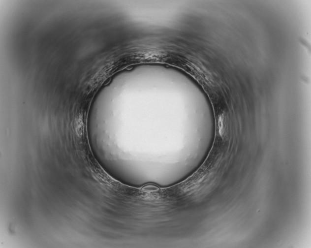 X0000093361395200710251120