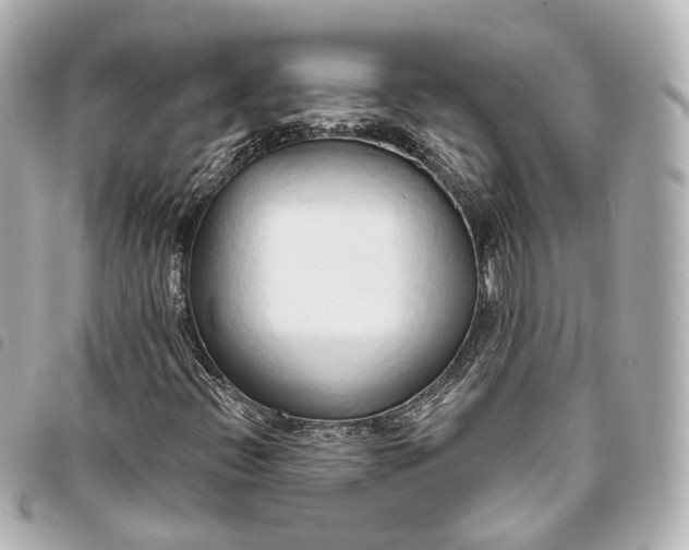 X0000093361396200710251121