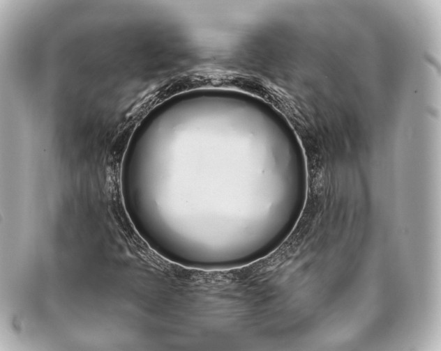X0000093361397200710251121