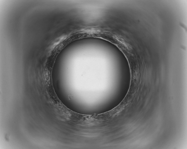 X0000093361398200710251121