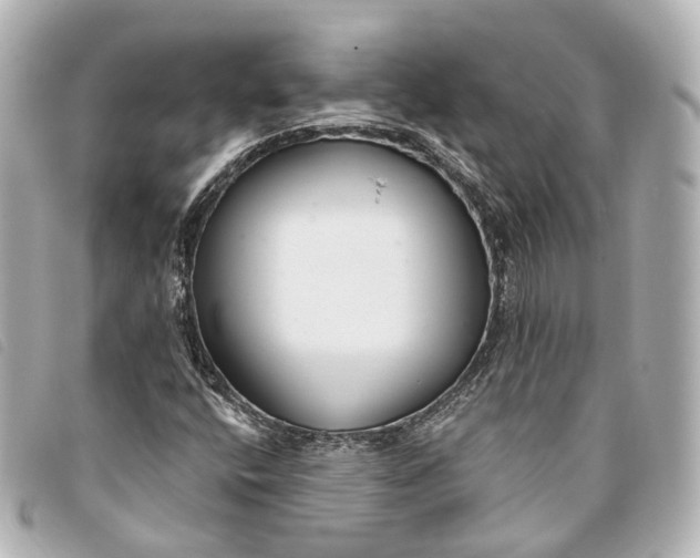 X0000093361400200710251121