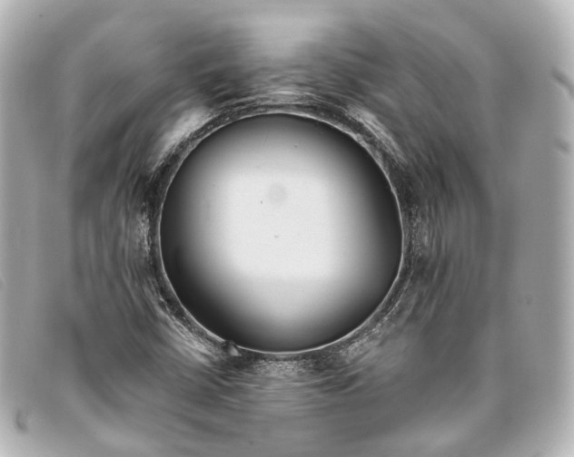 X0000093361402200710251121