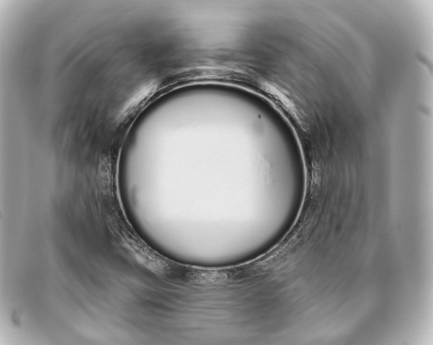 X0000093361403200710251121