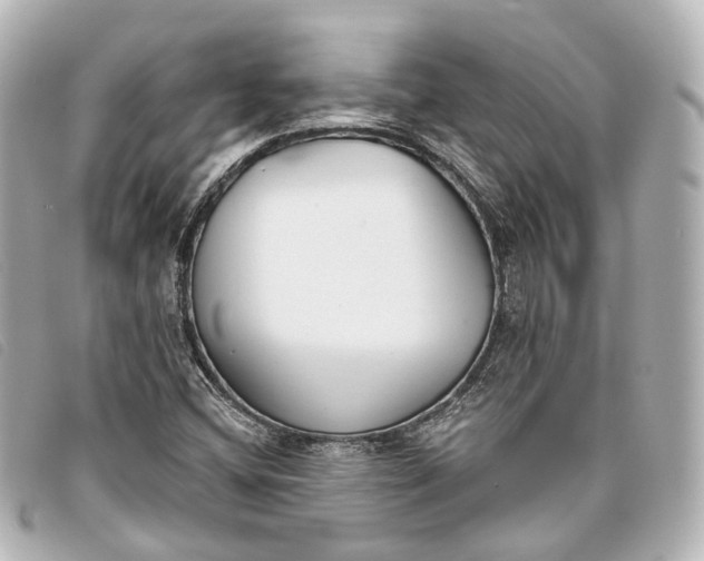 X0000093361404200710251121