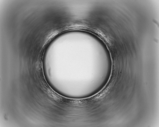 X0000093361405200710251121