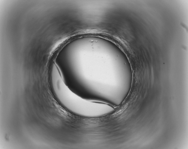 X0000093361406200710251121