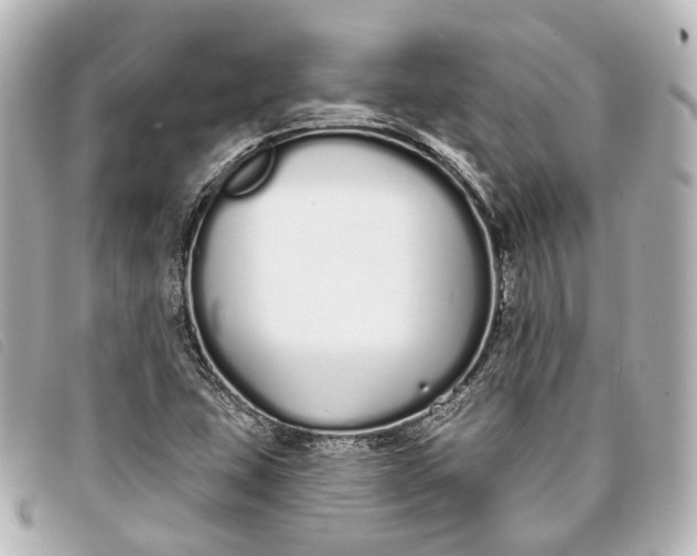 X0000093361407200710251121
