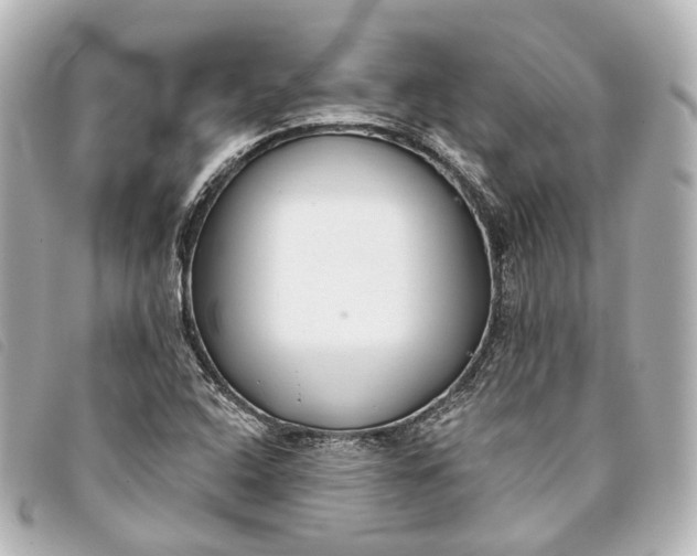 X0000093361408200710251121