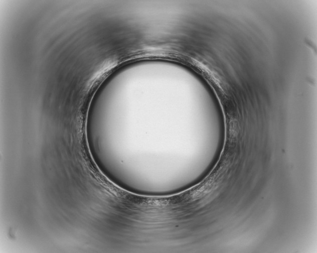 X0000093361411200710251121
