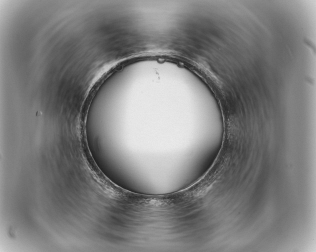 X0000093361412200710251121