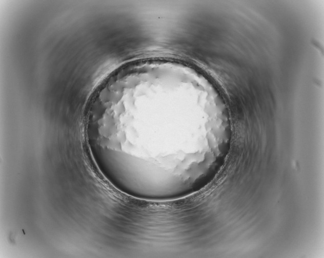 X0000093361415200710251121