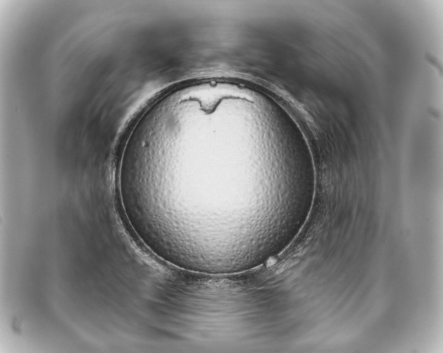 X0000093361416200710251121
