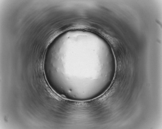 X0000093361417200710251121