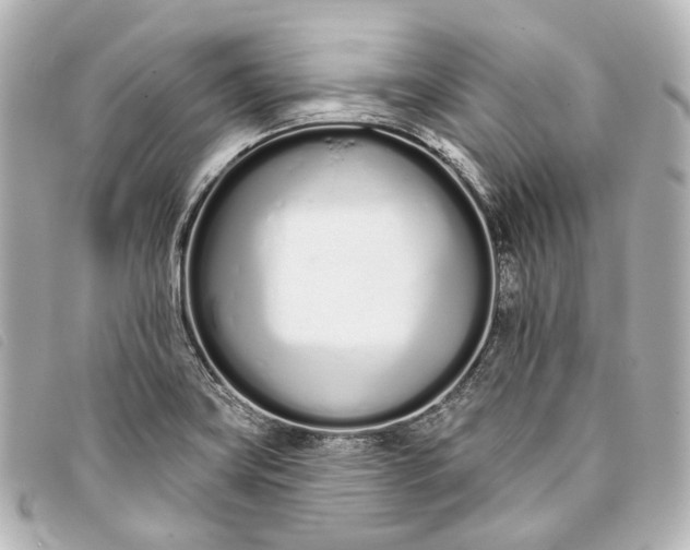 X0000093361419200710251121